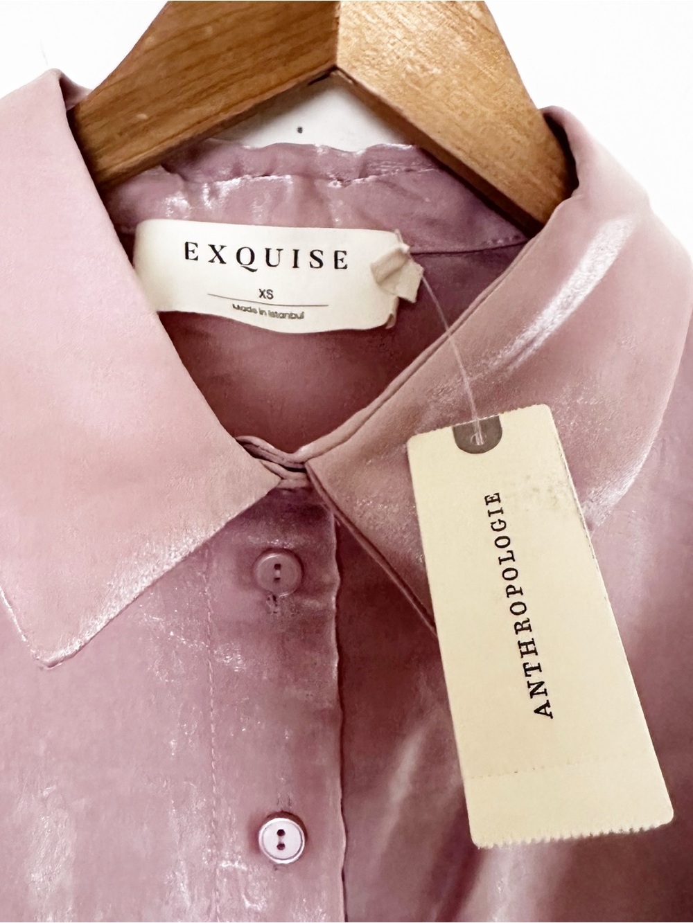 Anthropologie Tobie Organza Mini Shirtdress by Exquise - Picture 6 of 11